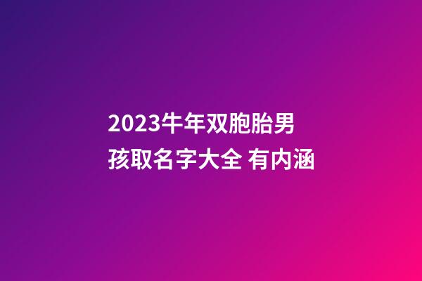 2023牛年双胞胎男孩取名字大全 有内涵